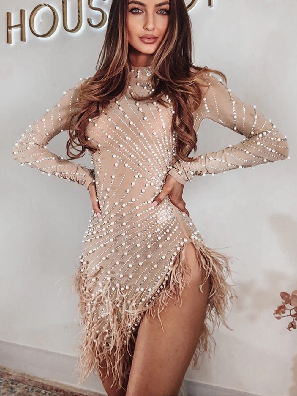 Nude Embellished Feather Hem Long-Sleeve Mini Dress